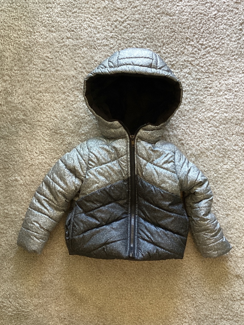 Body Glove Kids' Metallic Gray & Silver Puffer Jacket with Hood